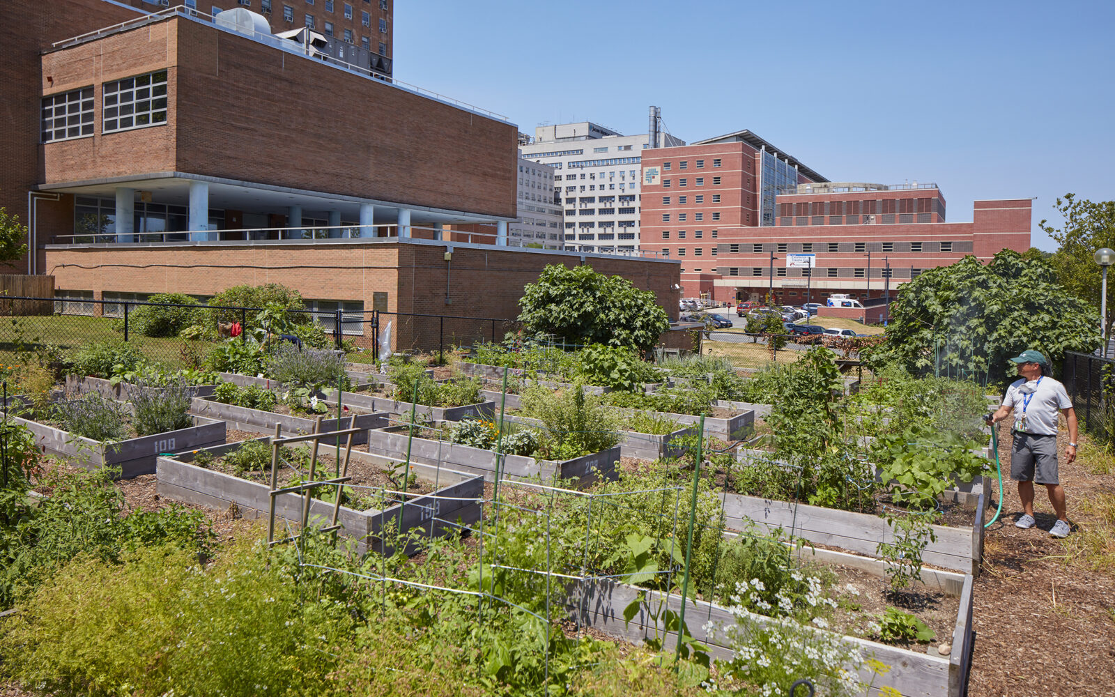 PAGNY 071922 Jacobi 0289