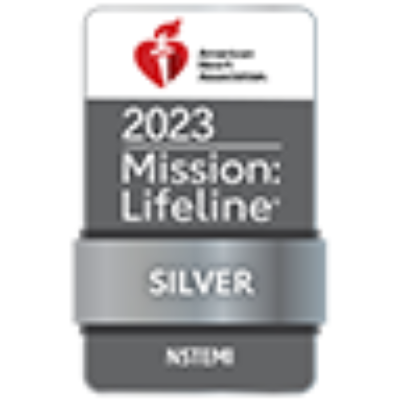 Gwtg 2023 nstemi silver