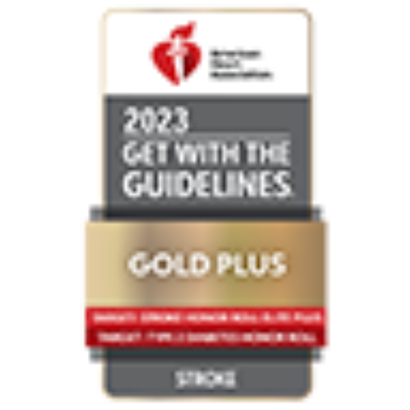 Gwtg 2023 stroke gold plus target stroke elite honor roll and target diabetes honor roll