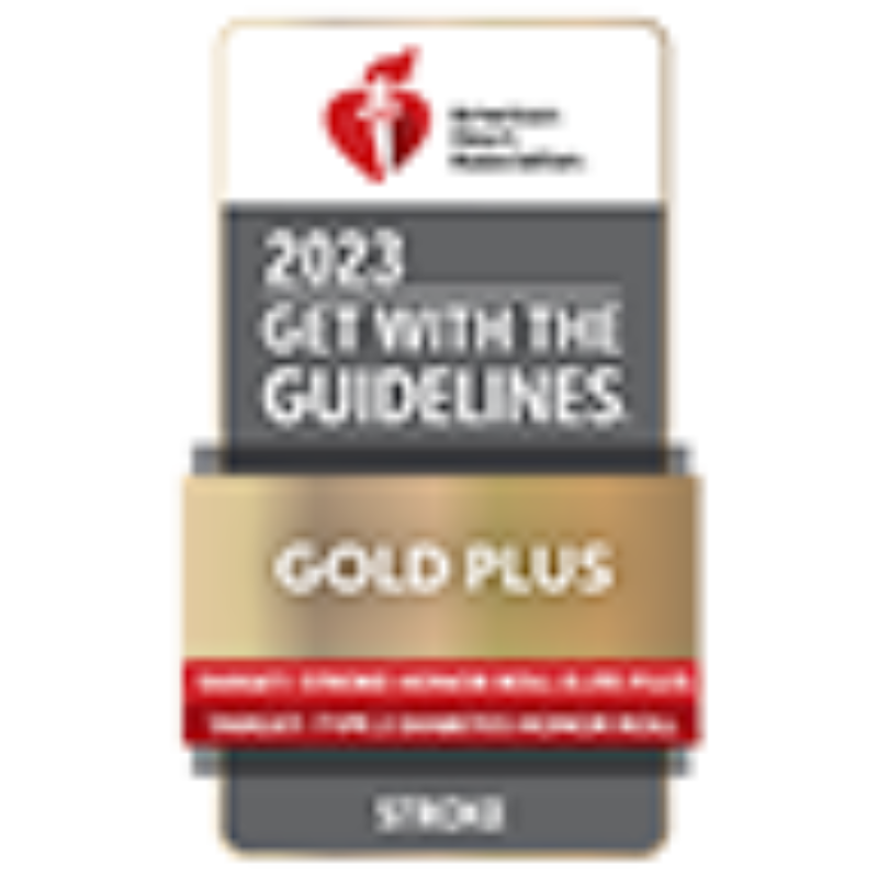 Gwtg 2023 stroke gold plus target stroke elite plus honor roll and target diabetes honor roll