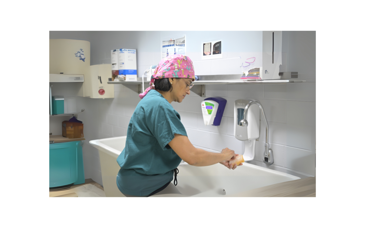 Dr Anita Srinivasan 5